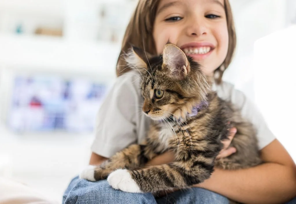 bambina con maine coon