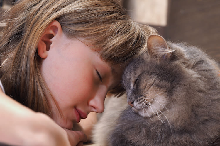 Fusa del gatto: significato e benefici sull’uomo