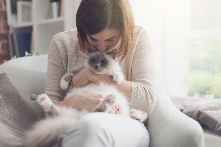 Allergia al gatto: rimedi naturali e prevenzione