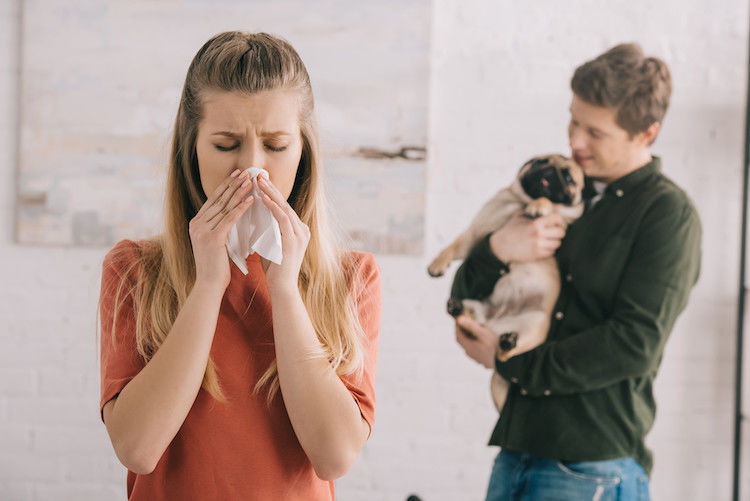 Allergia al gatto improvvisa: cause e rimedi