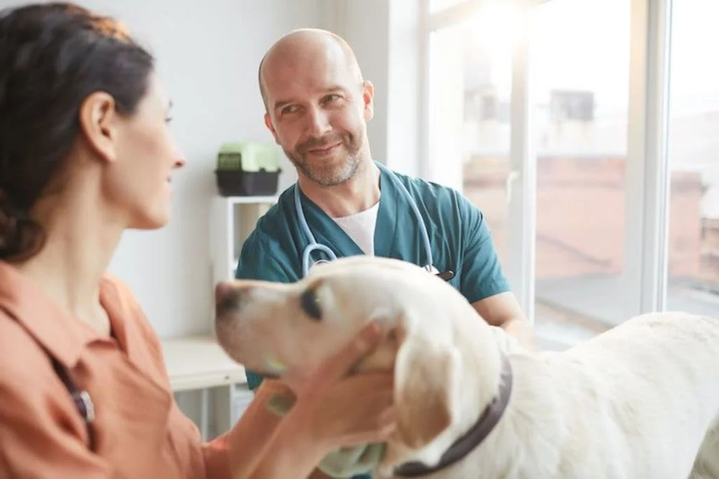 3traitement maladie de cushing chez le chien