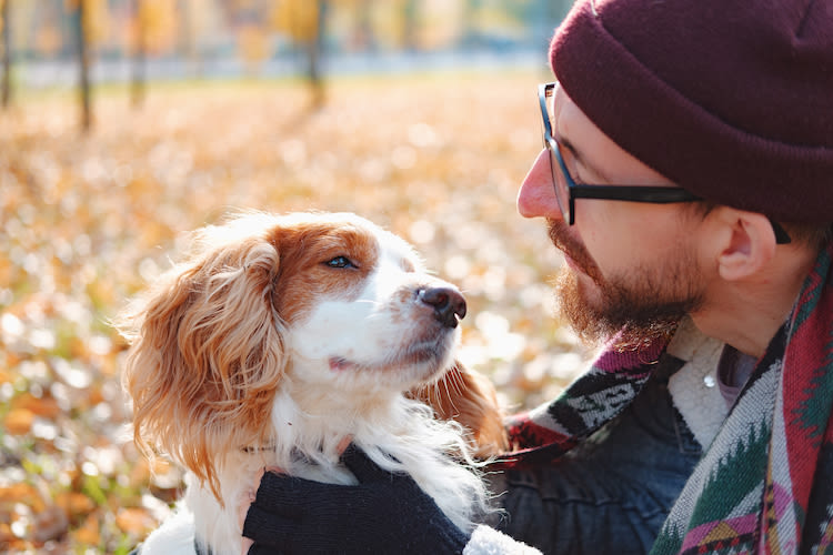 A partire da quale temperatura un cane ha freddo?