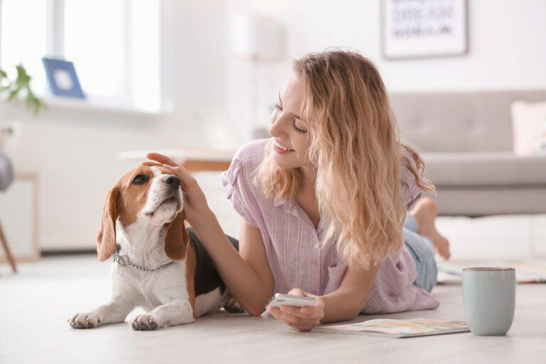 Qual è la migliore assicurazione sanitaria per il tuo cane?