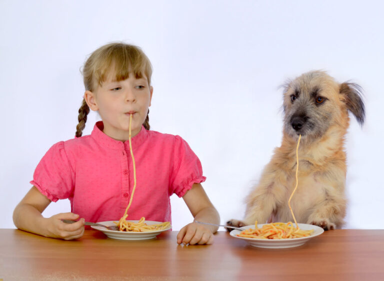 I cibi tossici per il cane