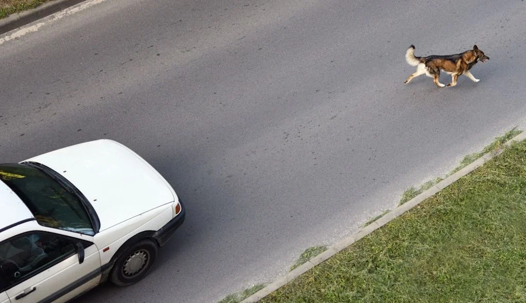 Incidenti comuni